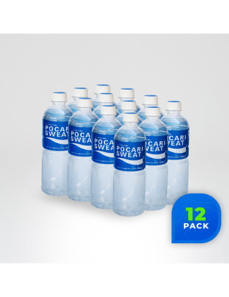 Botella 500 ml - 12 pack